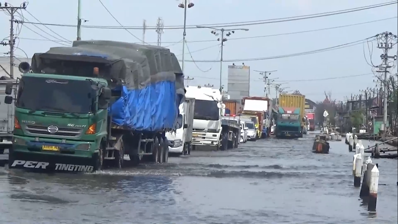 Banjir Rob Lama Menggenang, Jalan Pantura Sayung Demak Berlumut