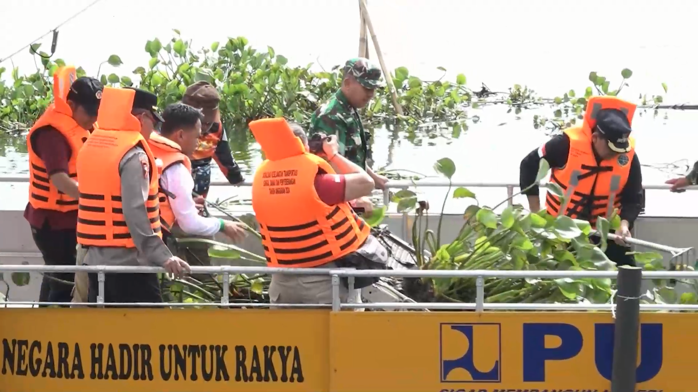 TNI AD Bersama Relawan Gelar Bersih-Bersih Eceng Gondok di Danau Rawa Pening 